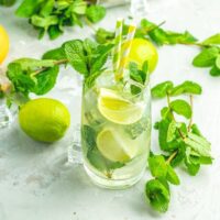mojito recette